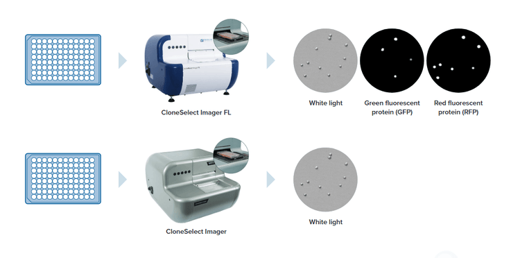 CloneSelect Imager FL, optimizar flujo de trabajo de crecimiento clonal