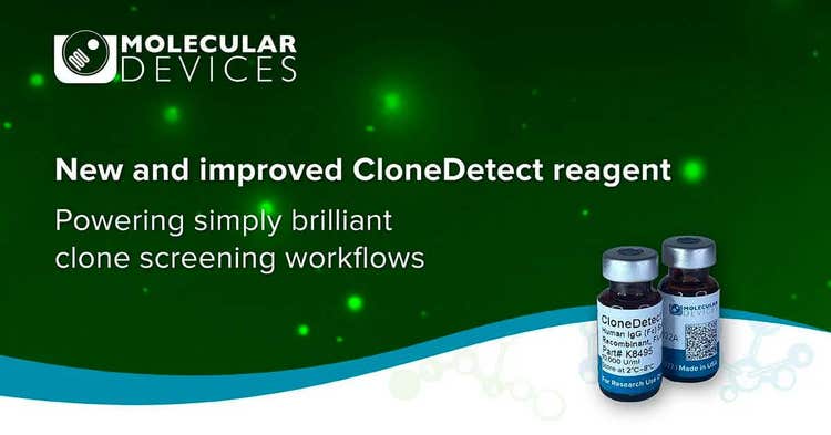 CloneDetect nuevo y mejorado