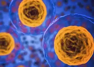 Salud celular: Viabilidad, proliferación, citotoxicidad y función celular