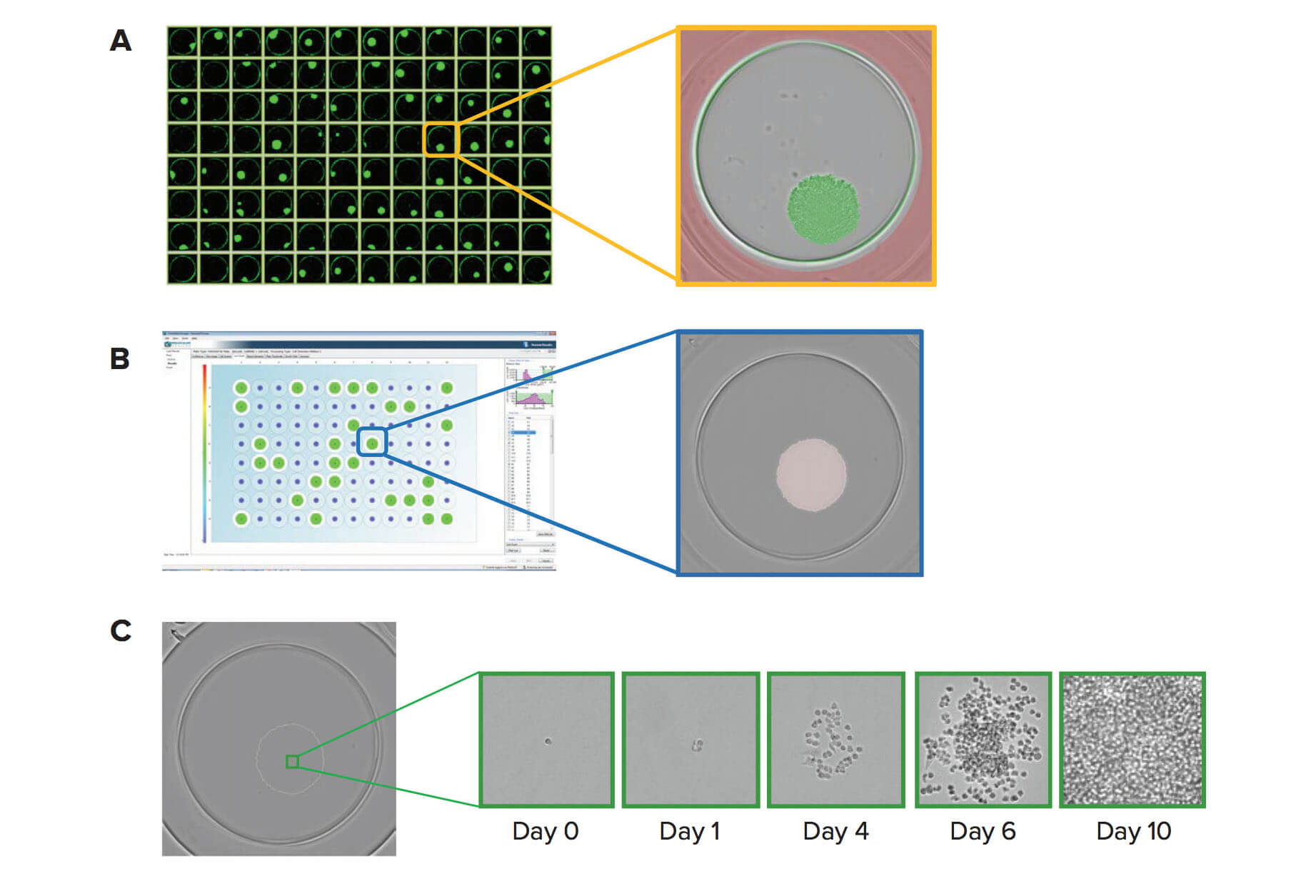 Adquisición de imágenes de la microplaca, caracterizaciones de los clones y generación de informes