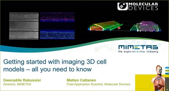 Imaging 3D Cell Models